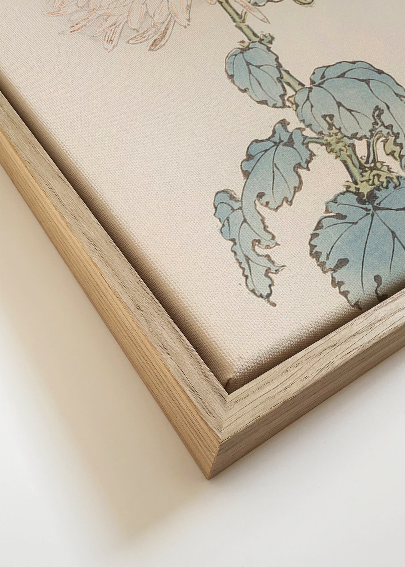 Botanische poster: Japanse chrysant studie