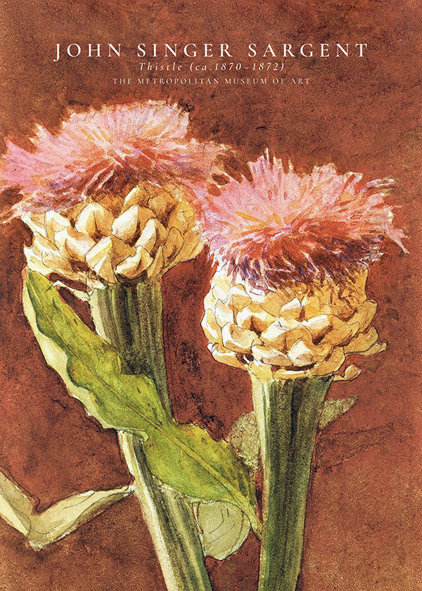 Botanische poster met roze distels