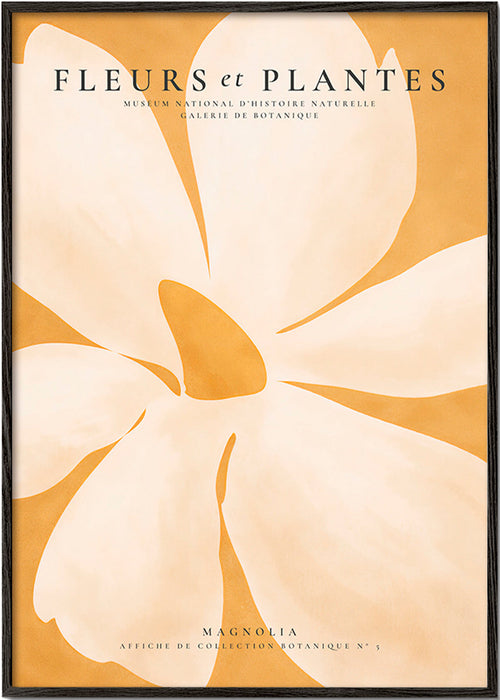 Botanische poster Magnolia groot formaat