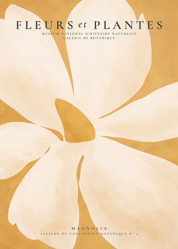Botanische poster Magnolia groot formaat