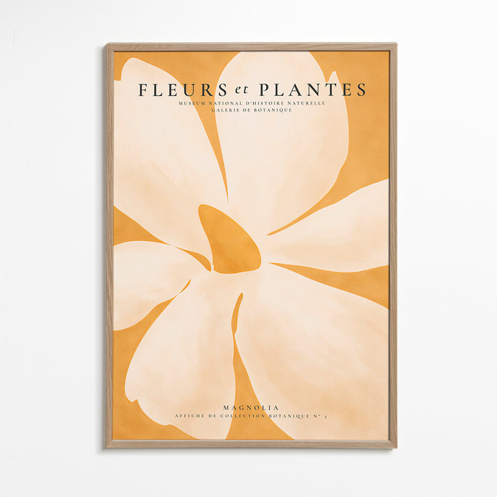Botanische poster Magnolia groot formaat