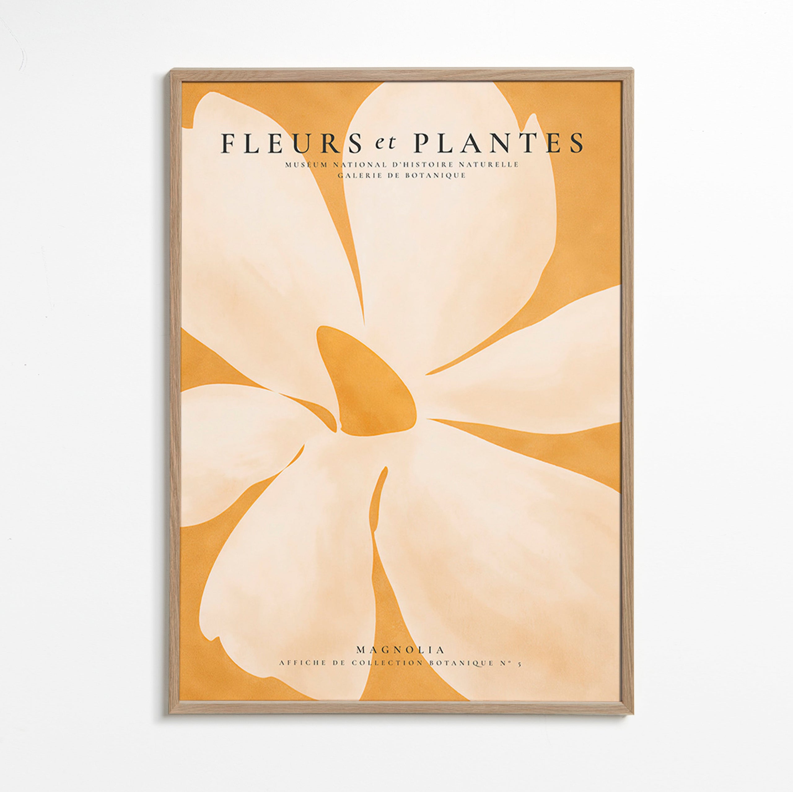 Botanische poster Magnolia groot formaat