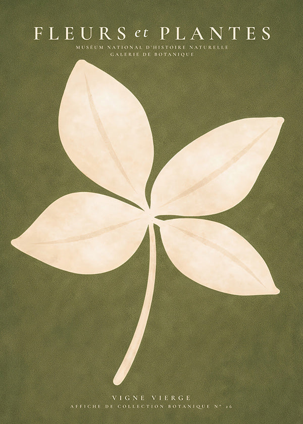 Botanische print: crèmekleurig blad op groen veld