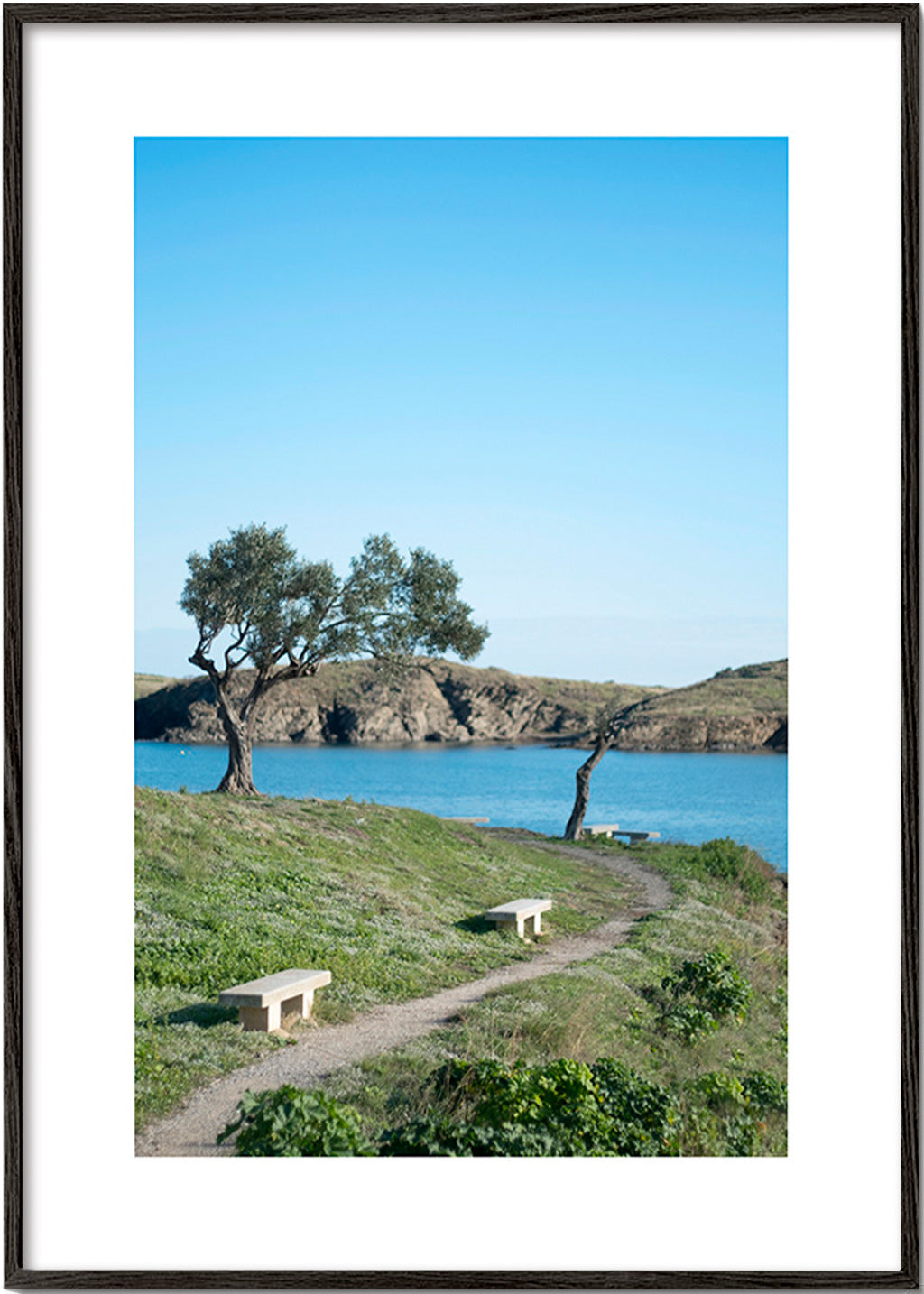 Cuadro van landschap kustpad sereen