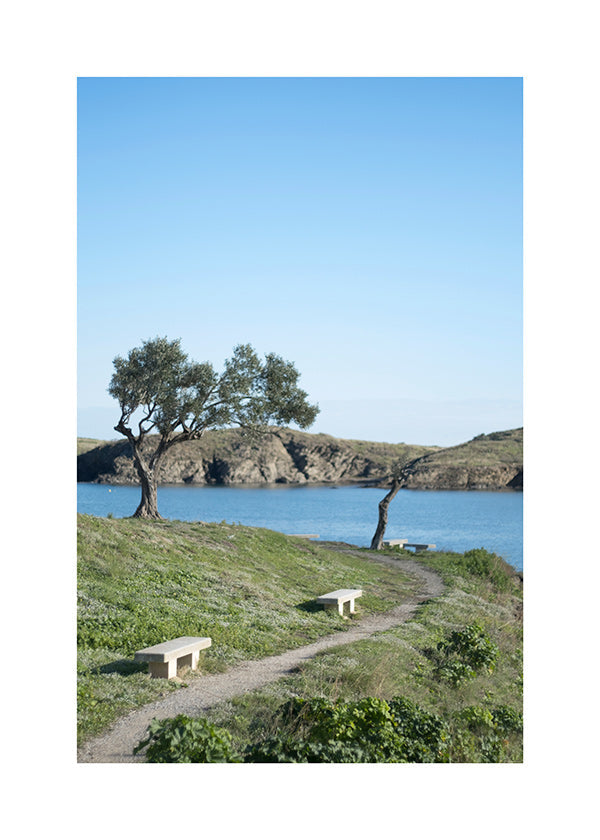 Cuadro van landschap kustpad sereen