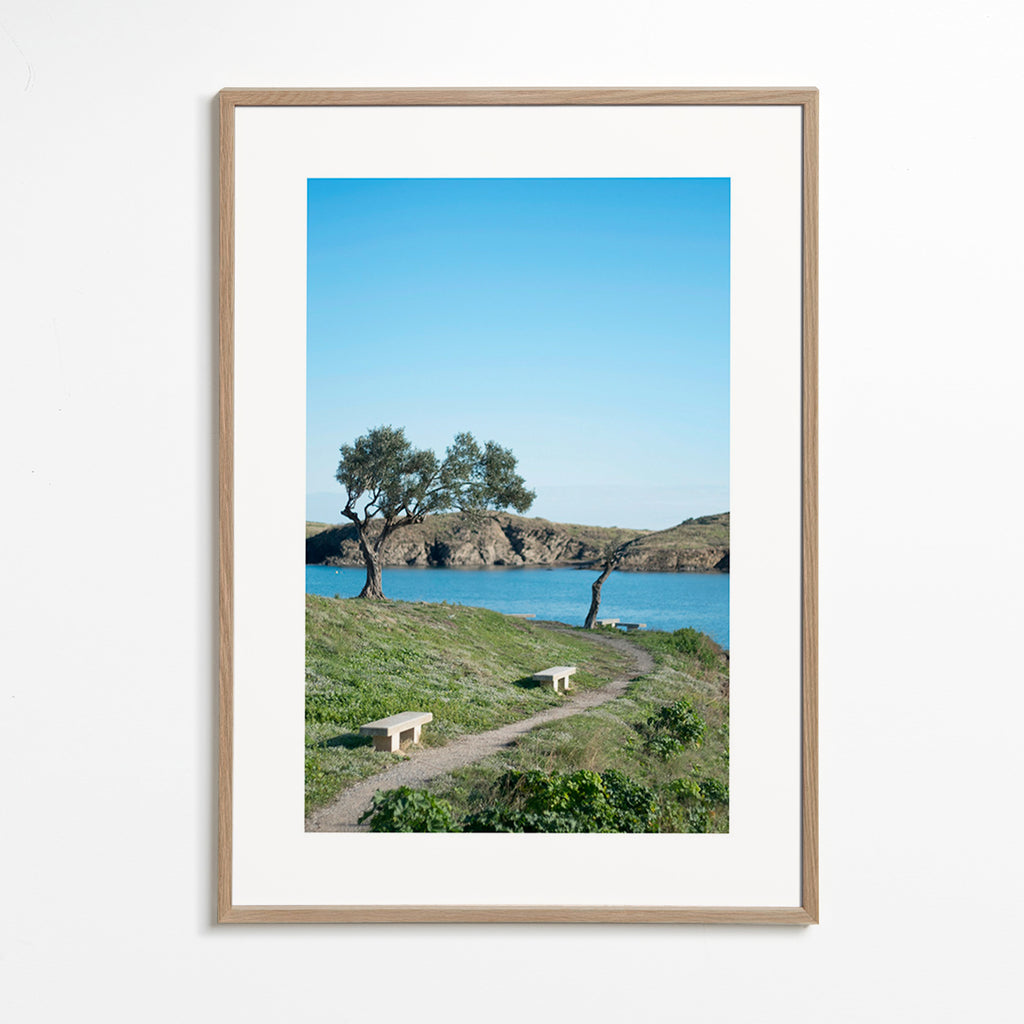 Cuadro van landschap kustpad sereen