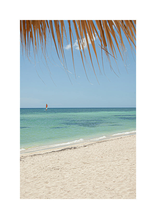 Landschap afbeelding: tropisch strand met palm