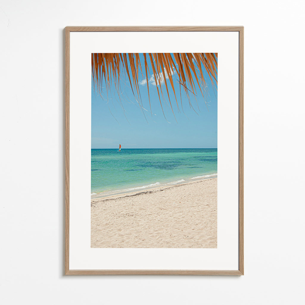 Landschap afbeelding: tropisch strand met palm