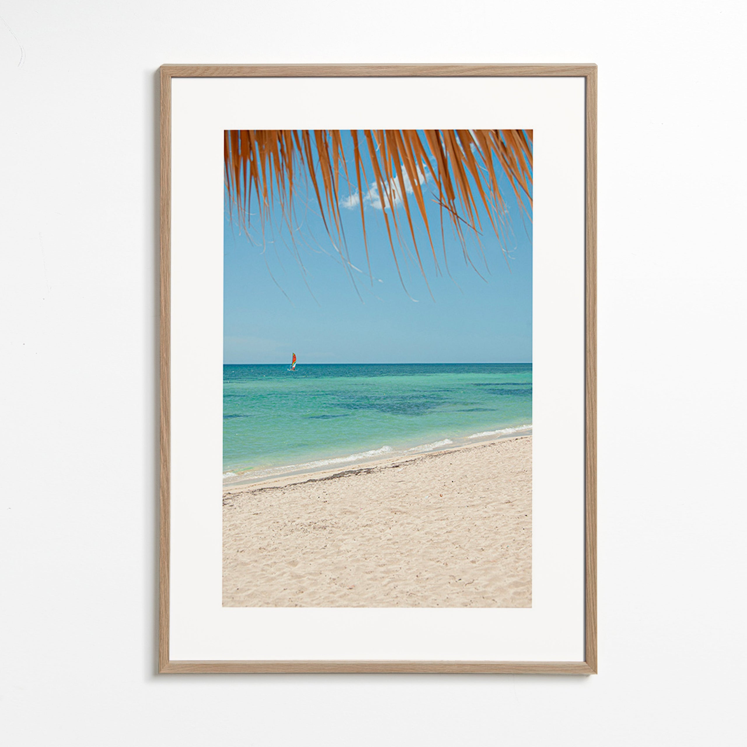 Landschap afbeelding: tropisch strand met palm