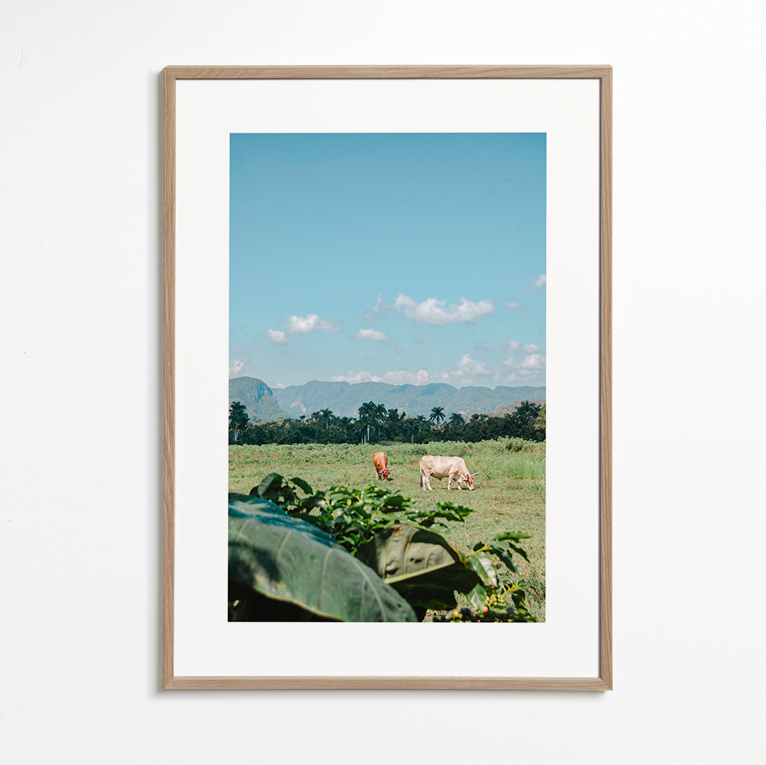 Landschap kunst: veld met koeien onder brede lucht