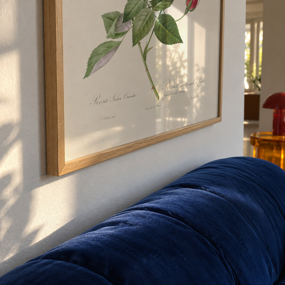 Blood Red Bengal Rose - Framed poster detail