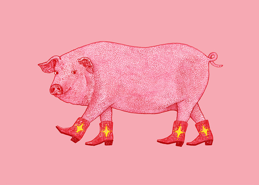 Varken Cowgirl Illustratie