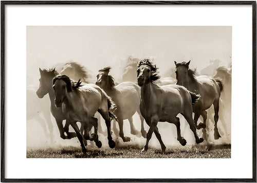 Rennende paarden in sepia – Black Frame