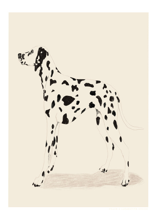 Pandc Dalmation - Unframed art print