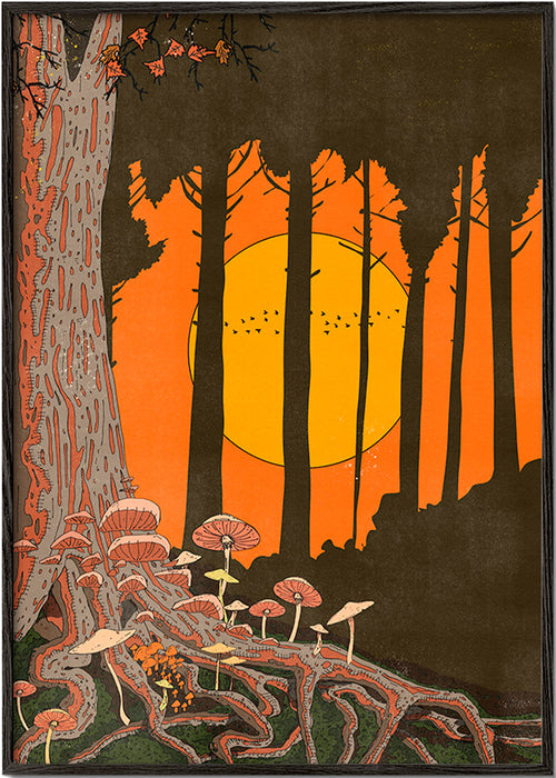 Illustratie bos zonsondergang met paddenstoelen – Black Frame