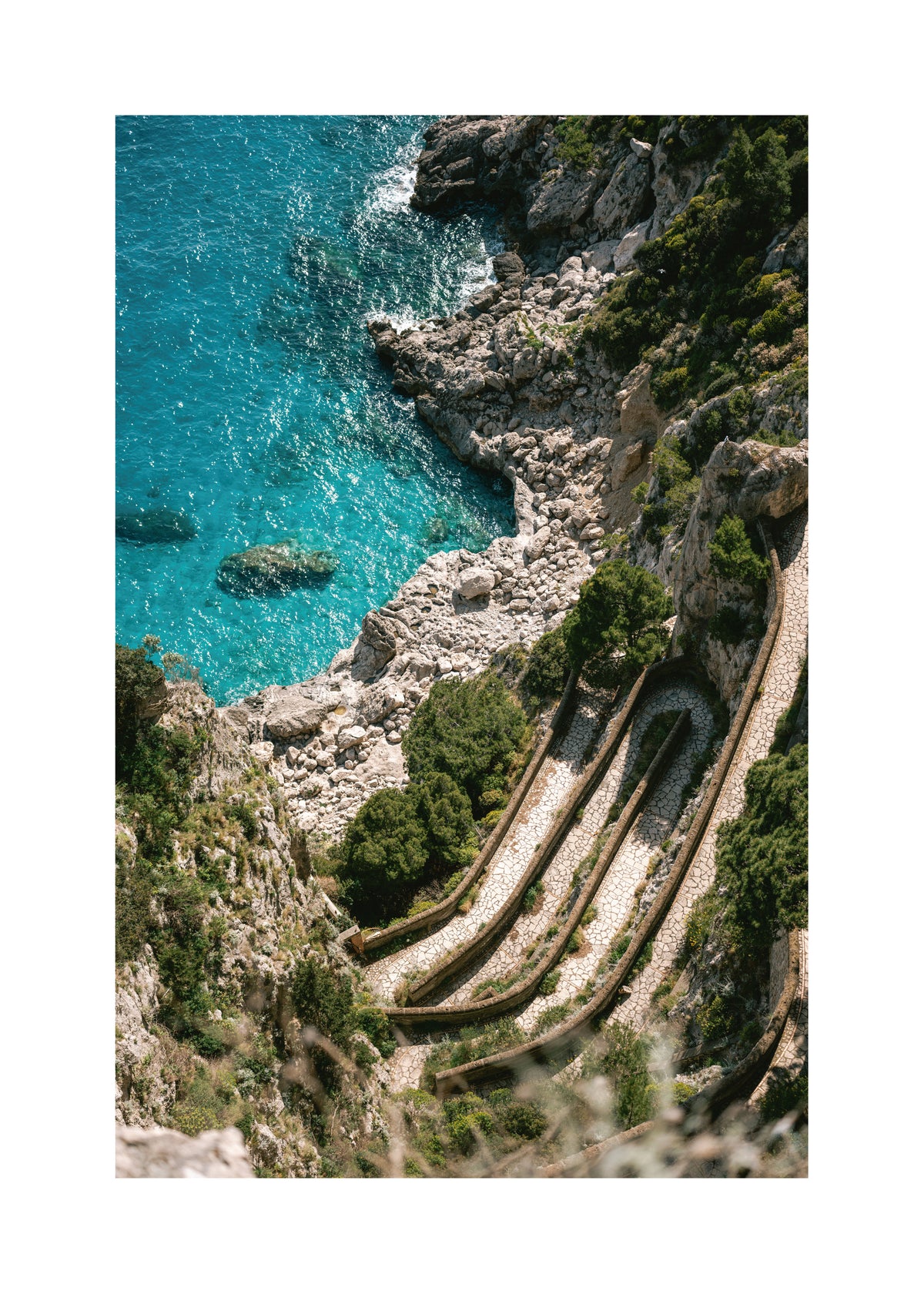 Gardens of Augustus - Unframed art print