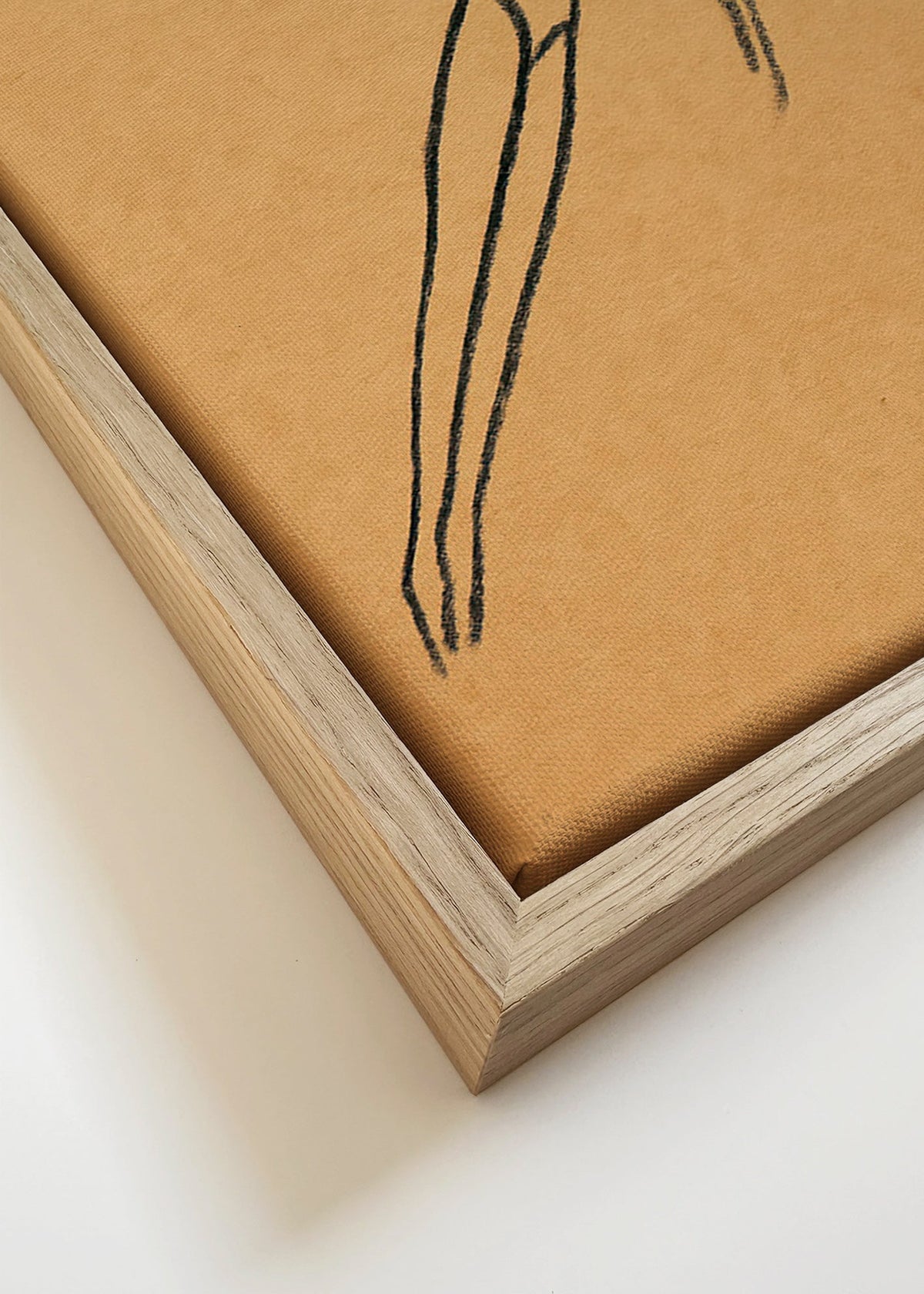 Illustratie van een figuur in suspensie – Canvas detail