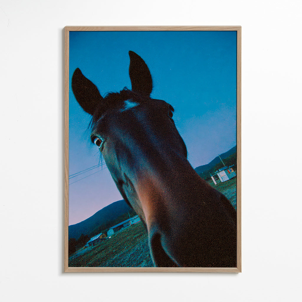Keuken kunst paard close-up schemering