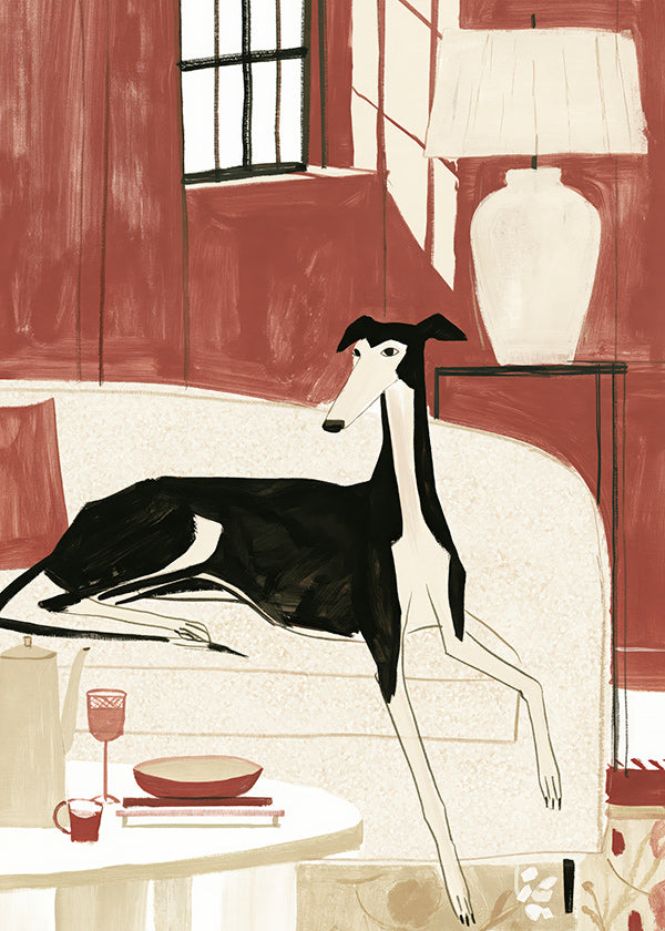Galgo illustratie op bank