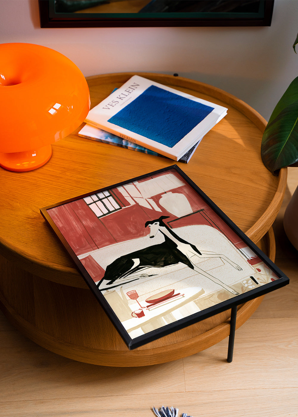 Galgo illustratie op bank