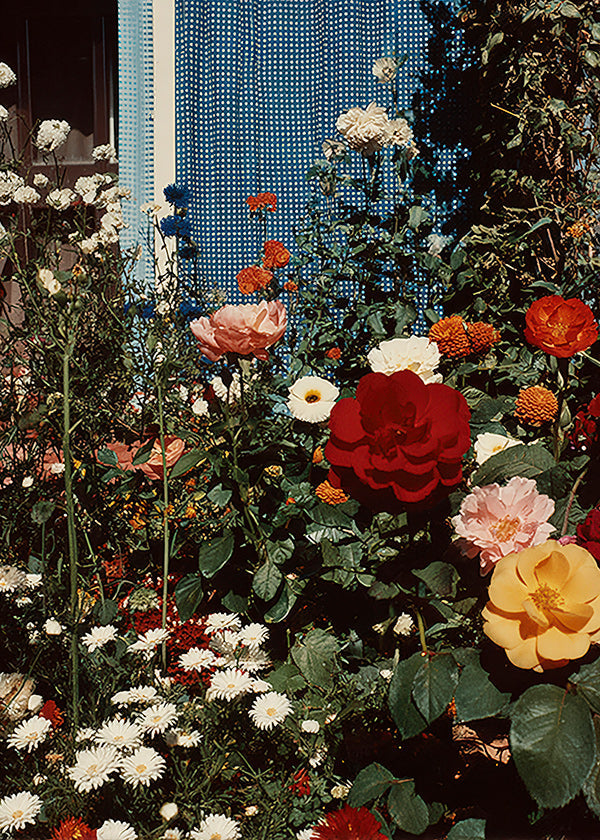Botanische poster: tuin in bloei