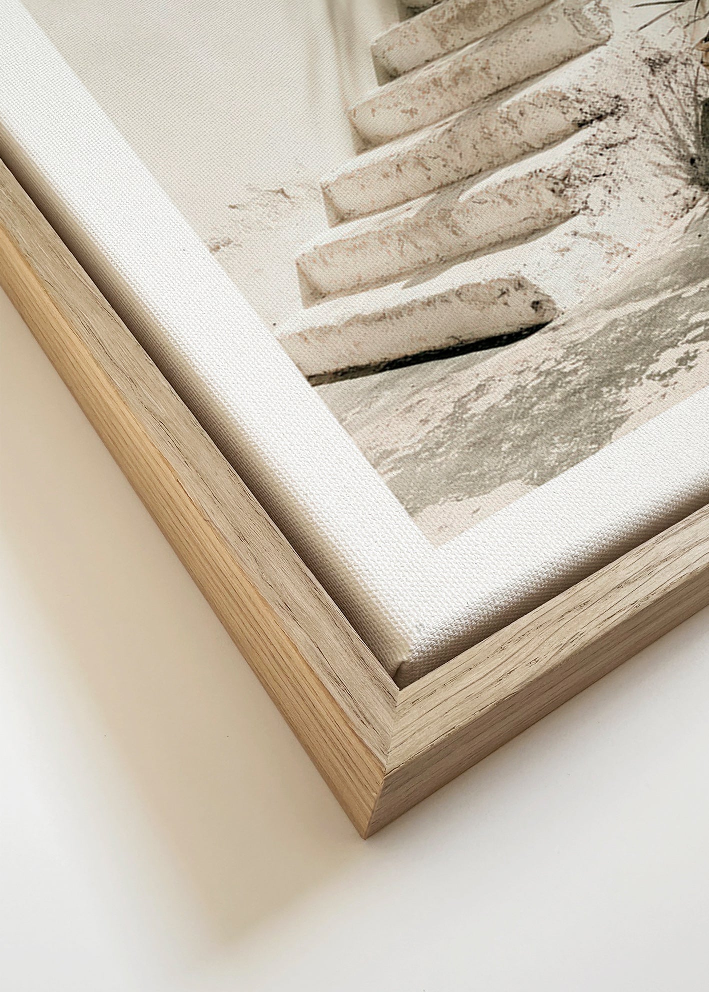 Photograph witte trap met plant