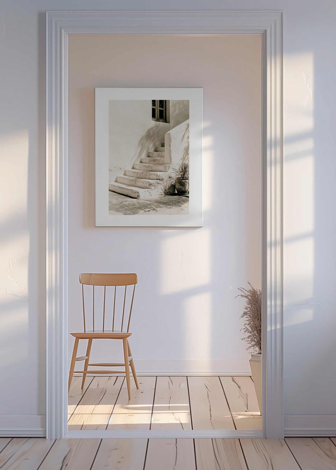 Photograph witte trap met plant
