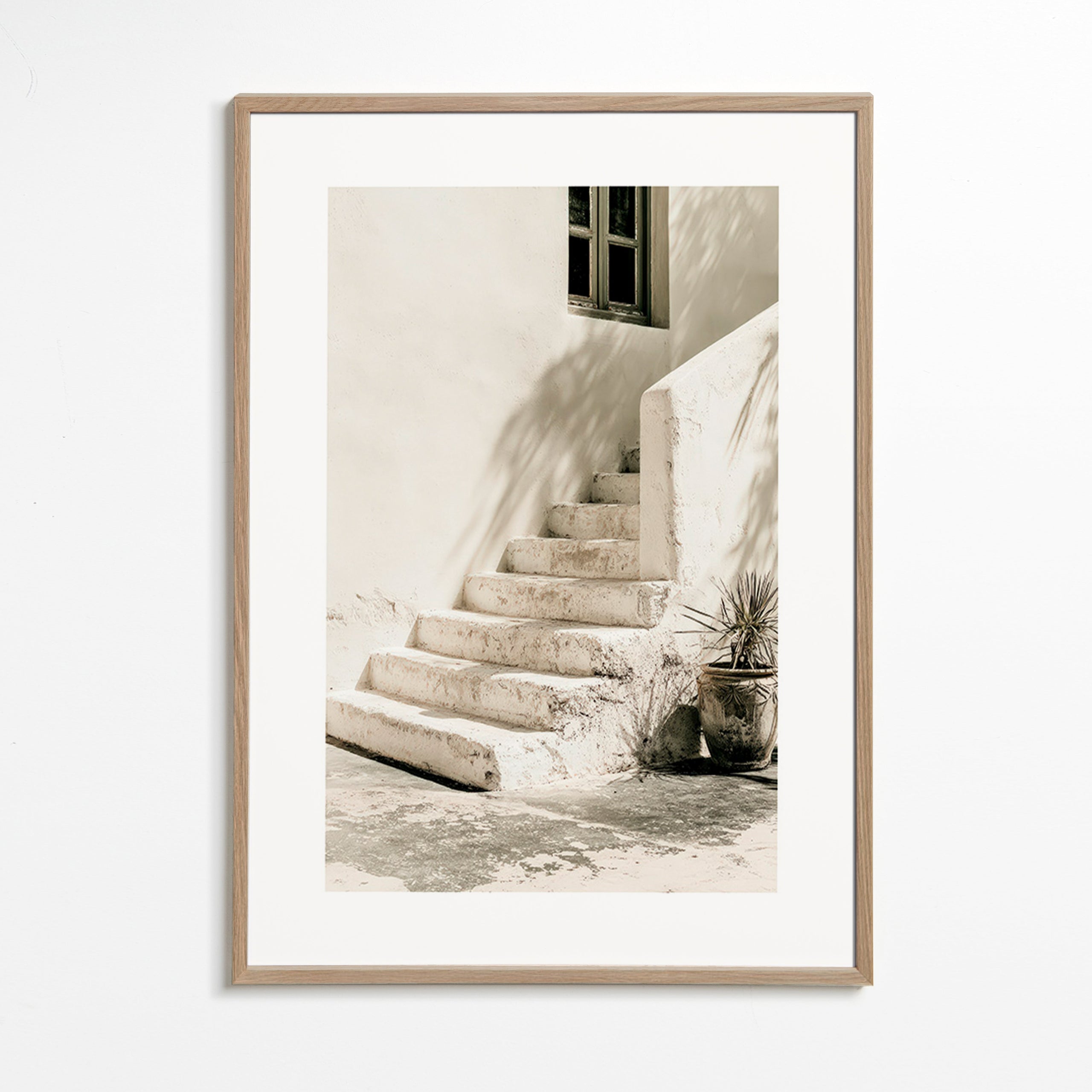 Photograph witte trap met plant
