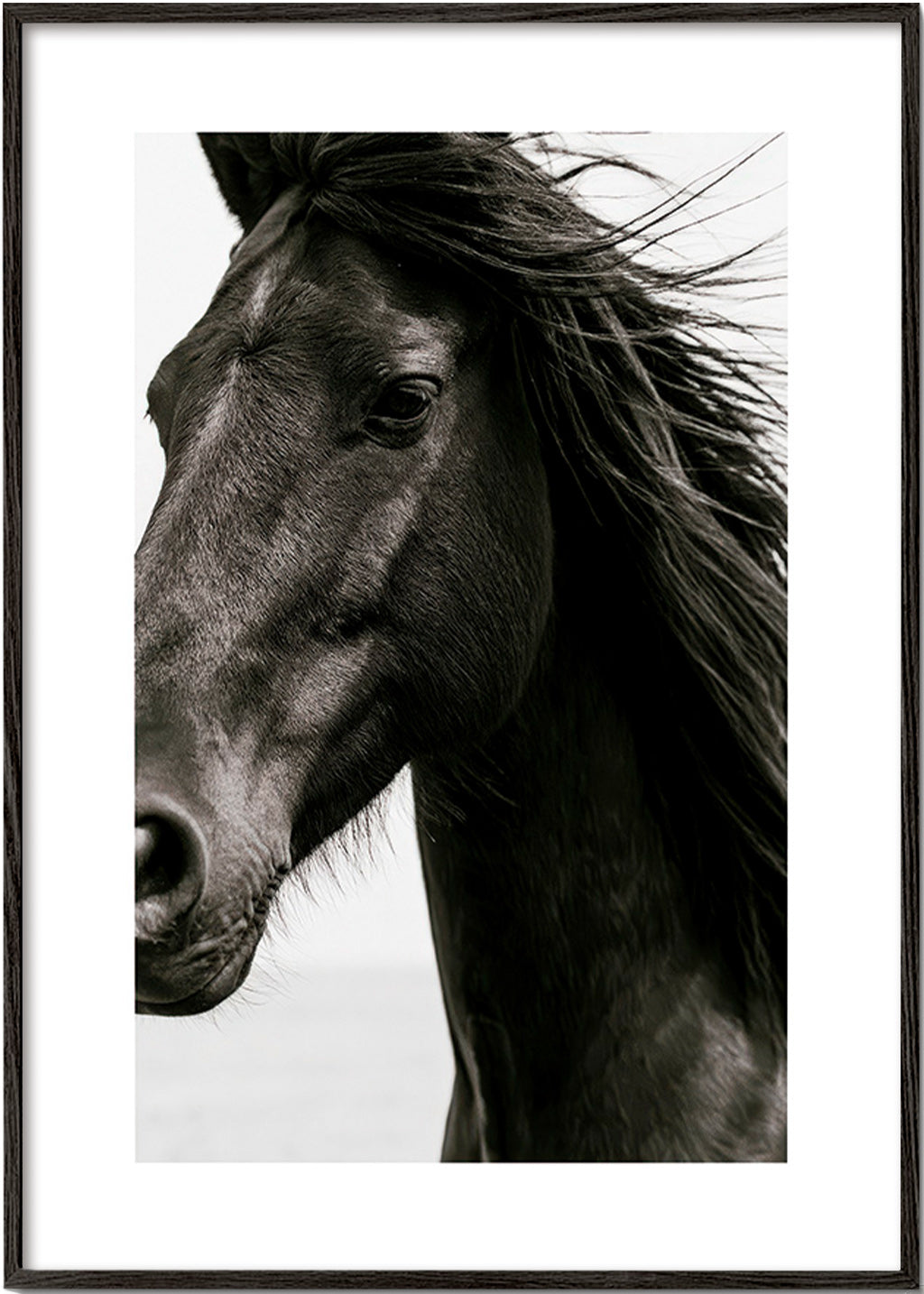 Paardenportret in close-up