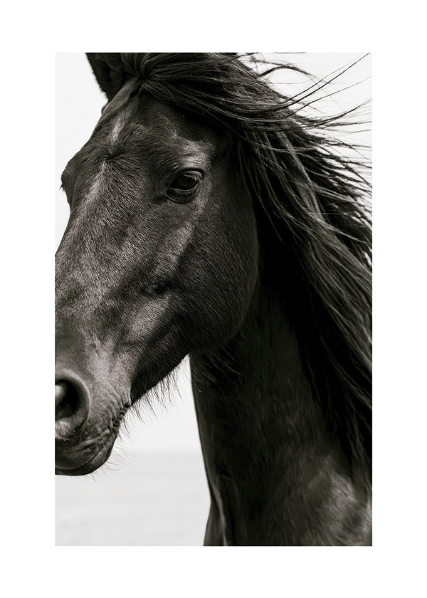 Paardenportret in close-up