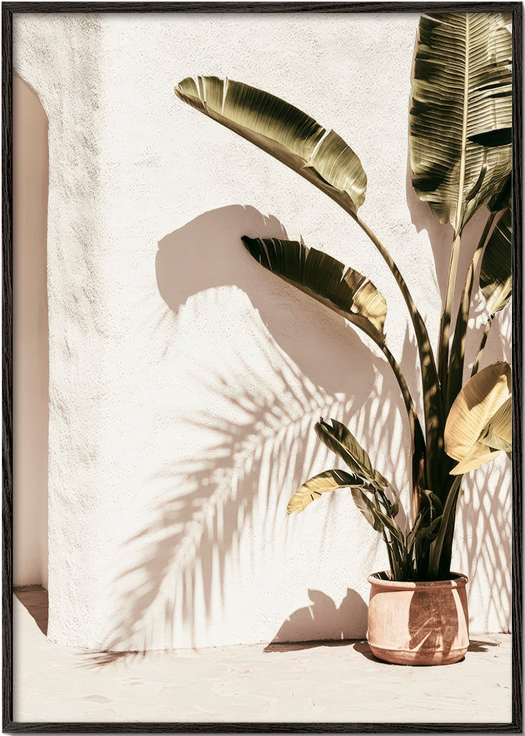 Botanische poster: potpalm