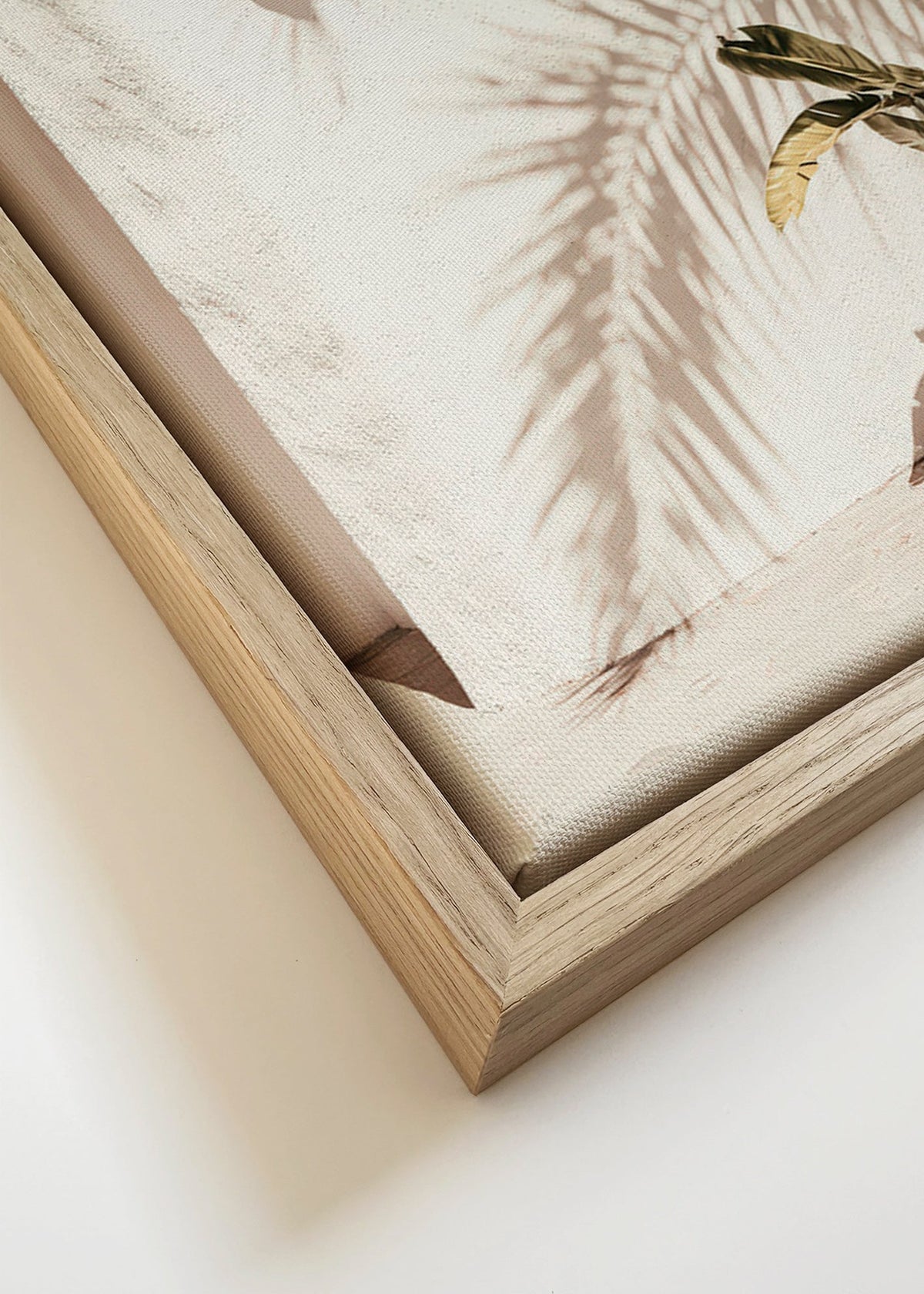 Botanische poster: potpalm