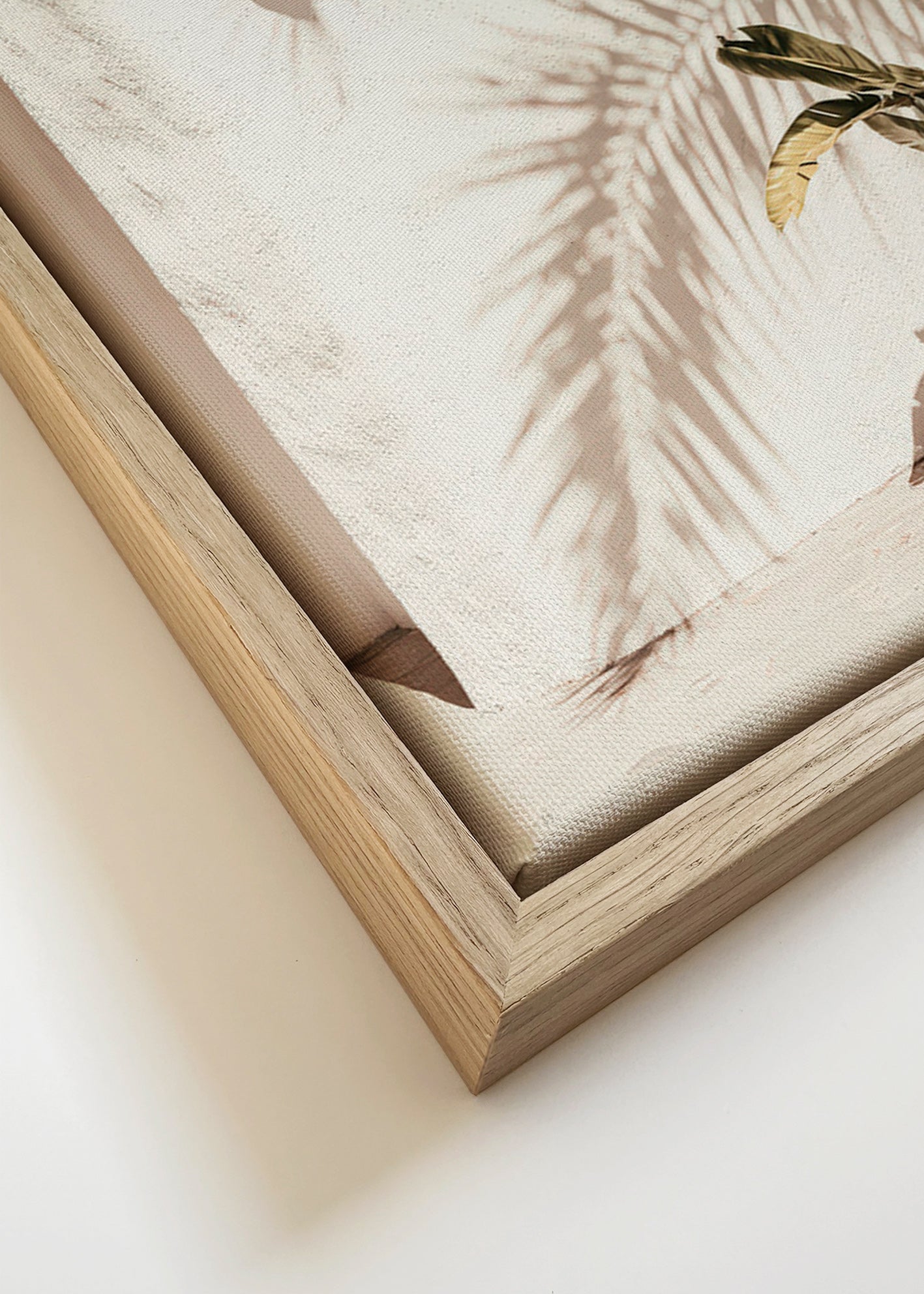 Botanische poster: potpalm