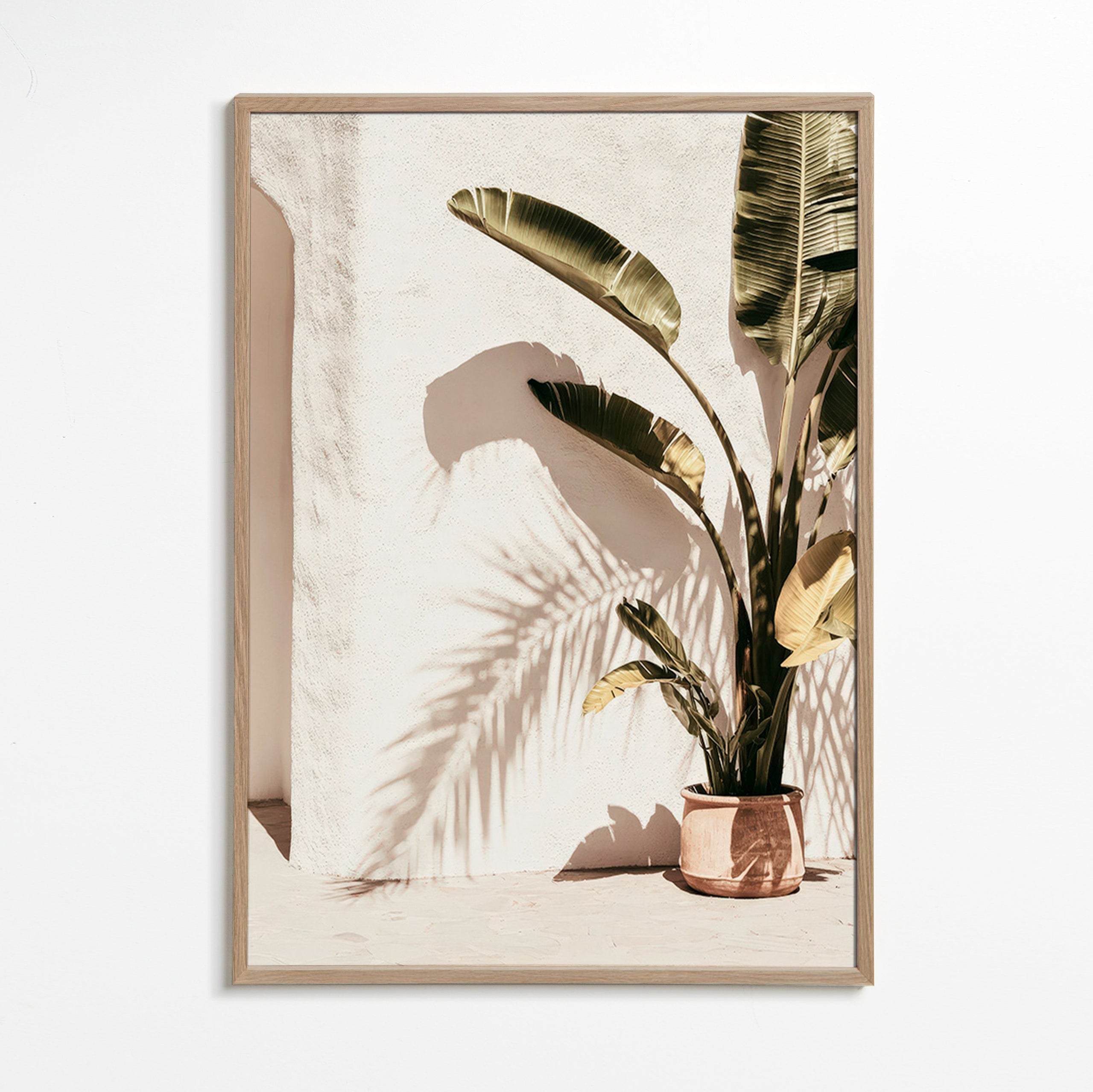 Botanische poster: potpalm