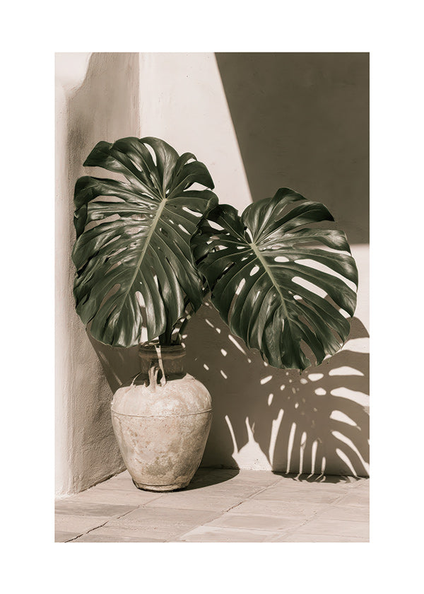 Botanische print Monstera in pot