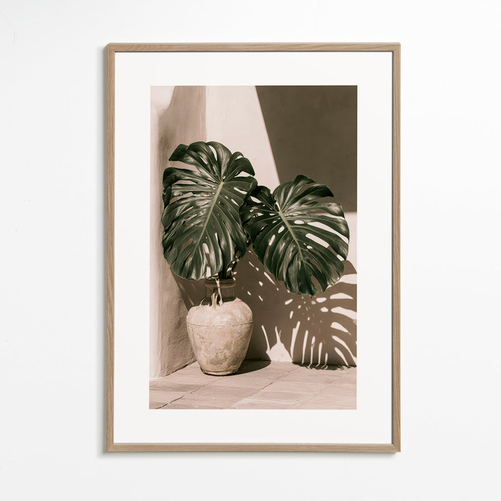 Botanische print Monstera in pot