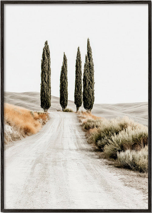 Landschap kunst met cipressenlaan